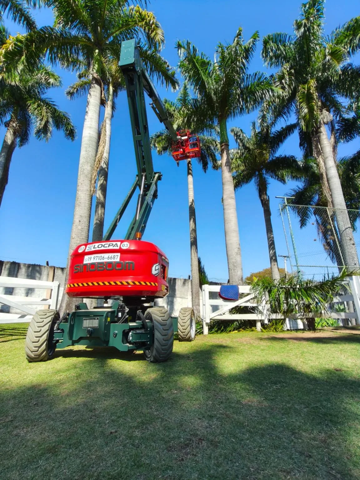 Plataforma elevatória articulada da LOCPA com a lança estendida, alcançando o topo de palmeiras em área externa.